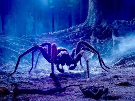 Spiders and Magical Potions: Brewing Spells with their Venom